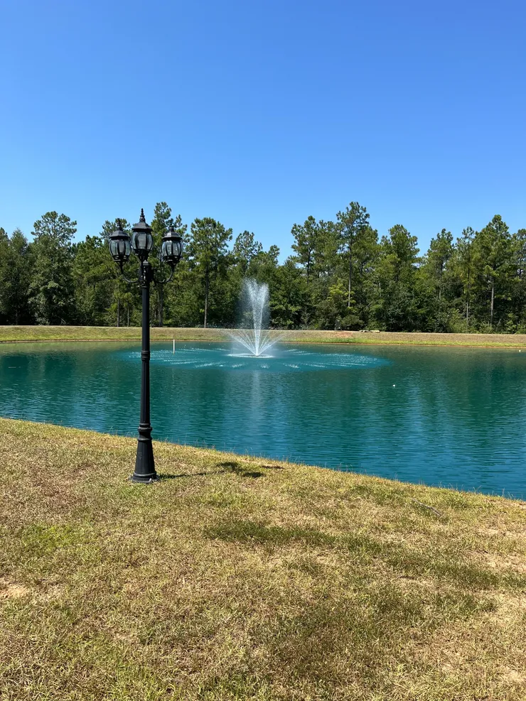 A post light installed at the edge of a pond.