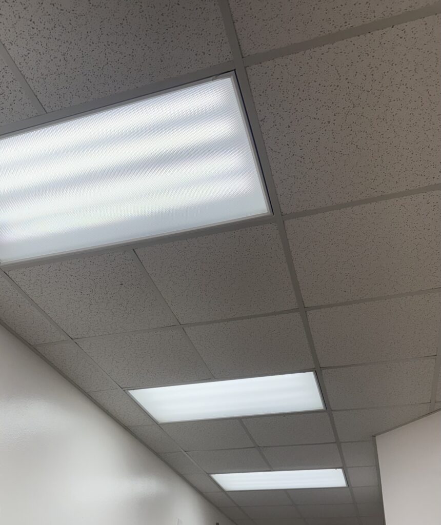 Lay in style 2x4 light fixtures in an office with LED tube bulbs.